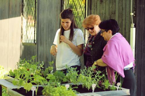 Zašto studirati Hortikulturu