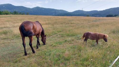 Izlet podružnice NSZVO Agronomski fakultet